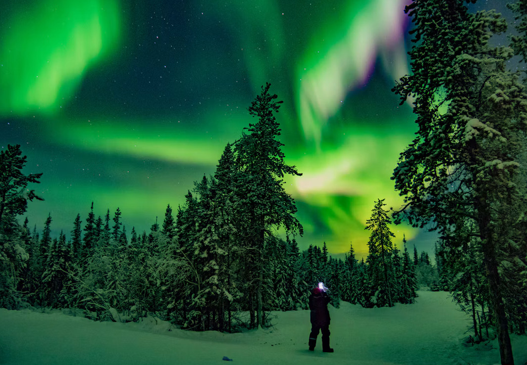 Northern Lights over snow and trees in Yellowknife, Canada